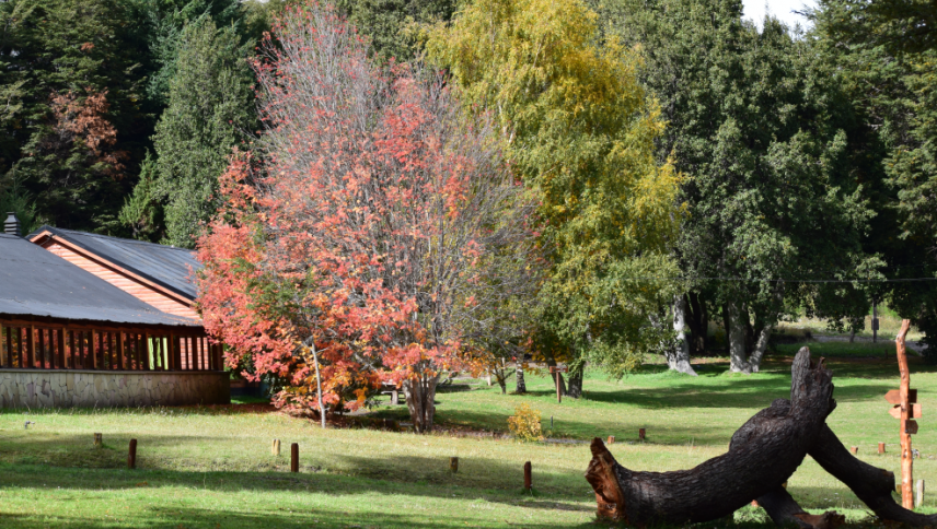 imagen Camping y Albergue Cullumche