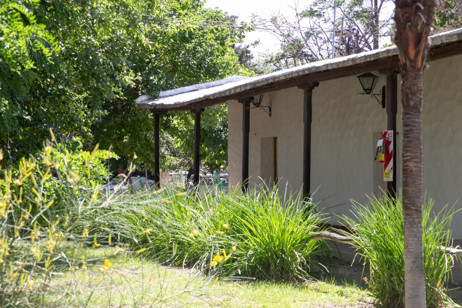 imagen Camping "El Bosquecito" en Potrerillos