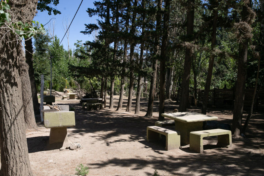 imagen Camping "El Bosquecito" en Potrerillos